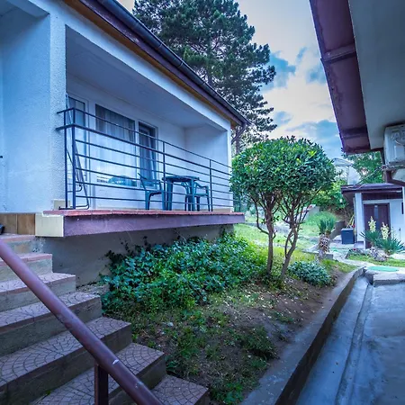 Alexander 希科尔皮诺夫西