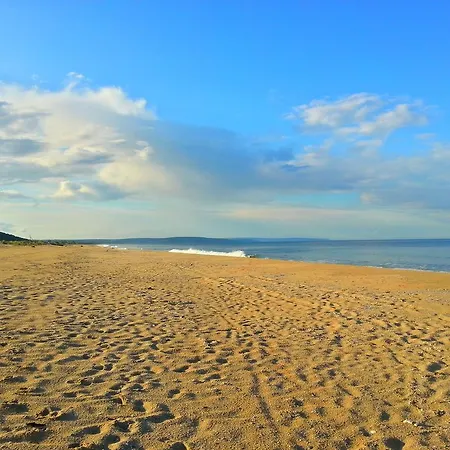 Alexander 希科尔皮诺夫西