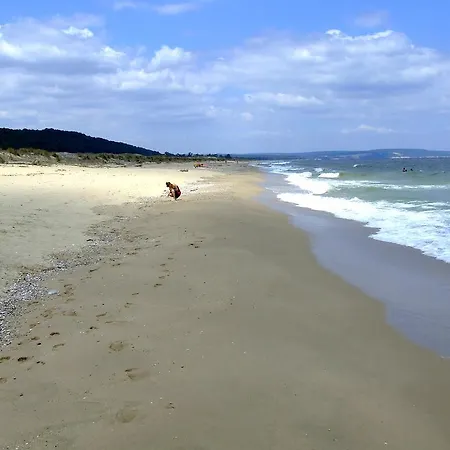 假日公园 Alexander 2*