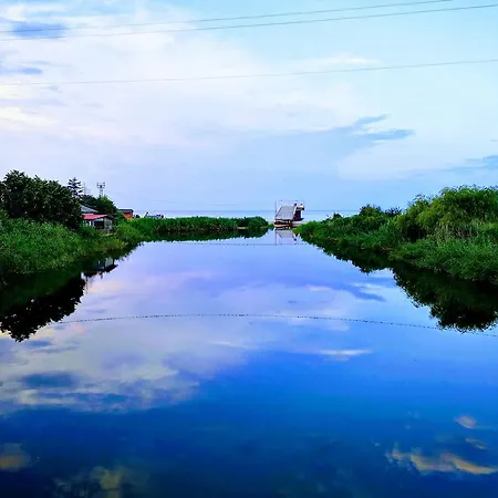 Alexander 2* 希科尔皮诺夫西