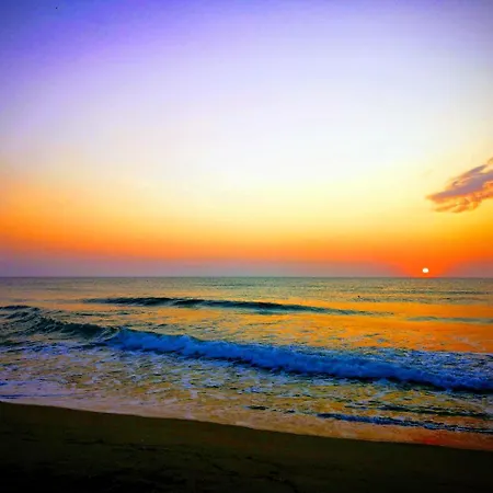 假日公园 Alexander 希科尔皮诺夫西