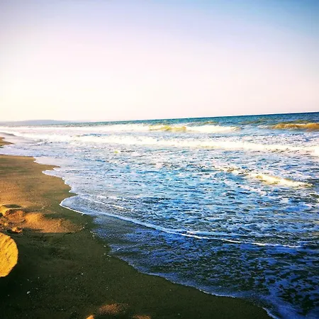 Alexander 希科尔皮诺夫西