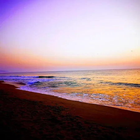 Alexander 假日公园 2*