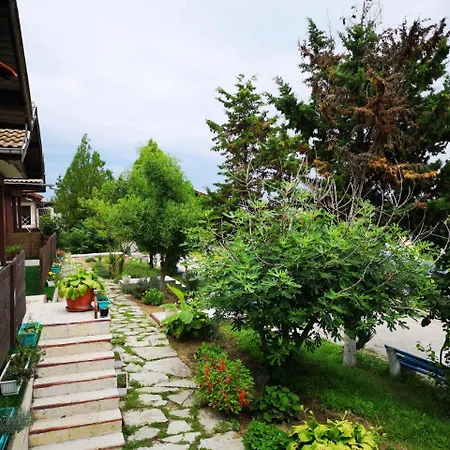 Alexander 希科尔皮诺夫西