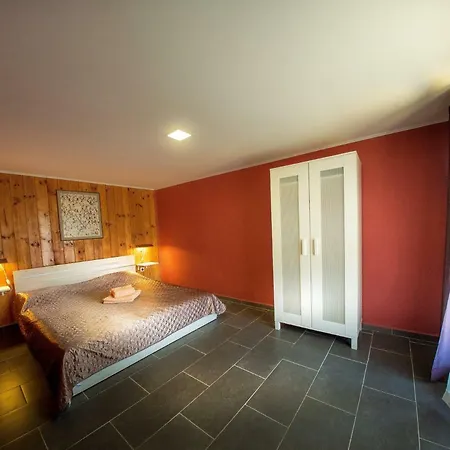 Alexander 2* 希科尔皮诺夫西