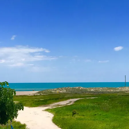Alexander שקורפילובצי
