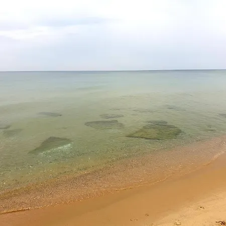 Alexander שקורפילובצי