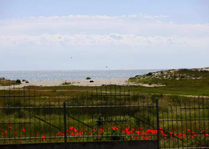 Alexander Üdülőpark