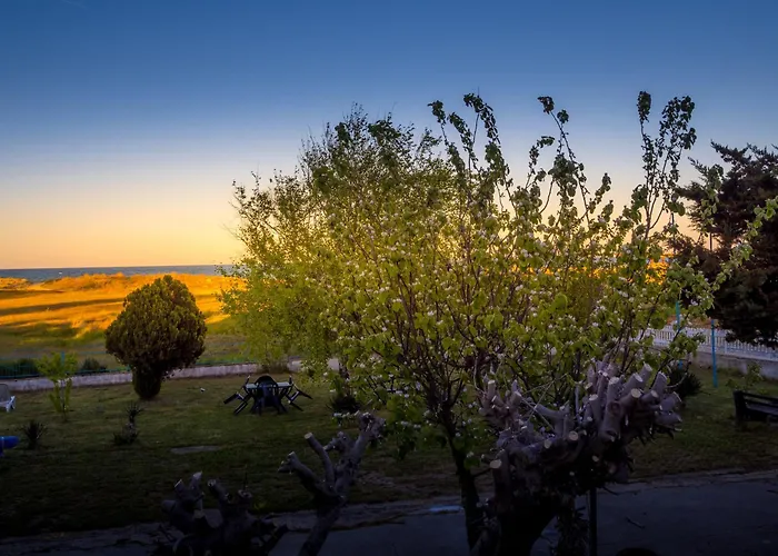 Alexander Skorpilovci