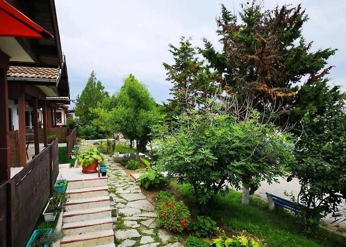 Alexander Skorpilovci